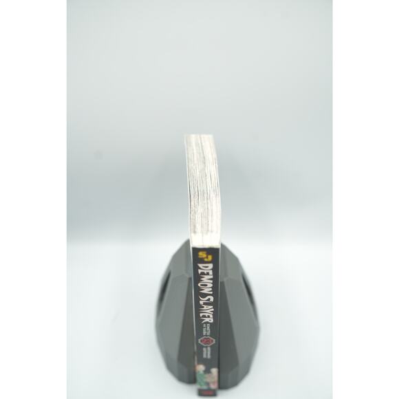 Demon Slayer: Kimetsu no Yaiba Vol. 23 – Final Volume (English Edition) - Picture 4 of 6